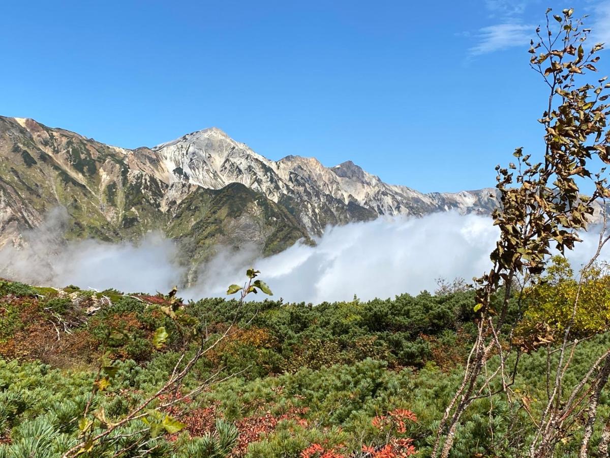 Bed and Breakfast Hareruya Hakuba Exteriér fotografie